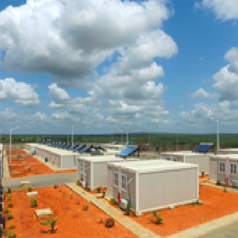 20 ফুট ফ্ল্যাট প্যাক ধারক